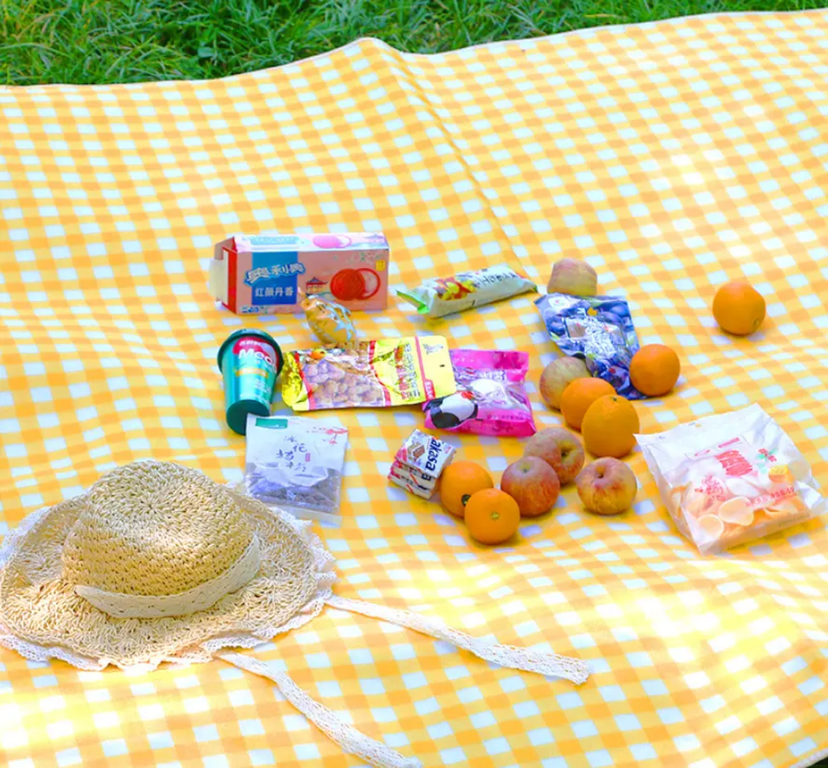 Picnic Mat Camping Hiking Outdoor Portable Waterproof Moisture Proof Picnic Mattress